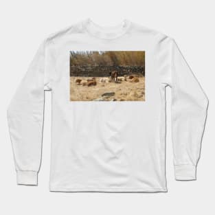 Cows Long Sleeve T-Shirt